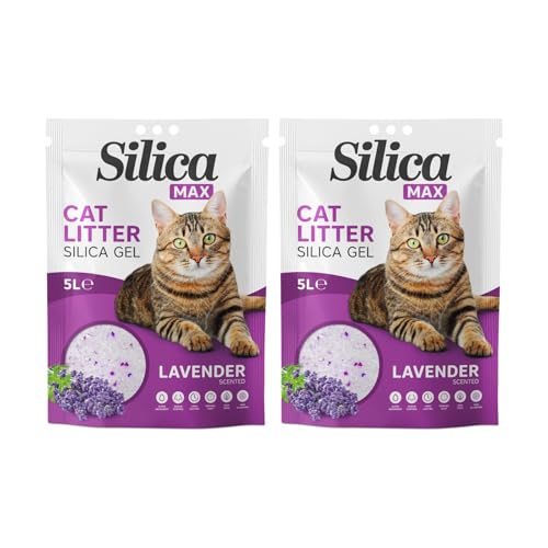 FabFinds Cat Litter Antibacterial Silica Gel Non-clumping Long Lasting Odour Control Dust Free Cat Litter 5L (2 Pack Lavender)