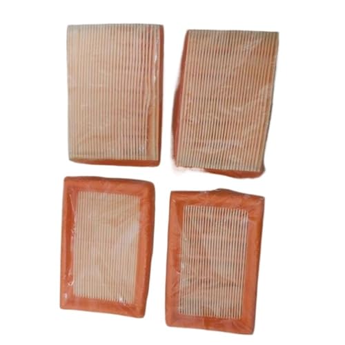 Filtre BR420 haute filtration pour dépoussiéreur et pulvérisateur à dos de jardin