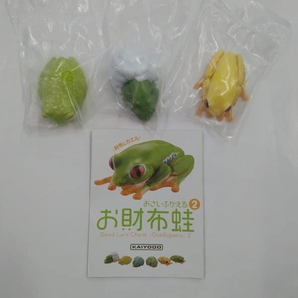 アカメアマガエル　オスメスセット　シュレーゲル Amazon | カプセルQ ミュージアム お財布蛙 2 3種 アカメアマガエル