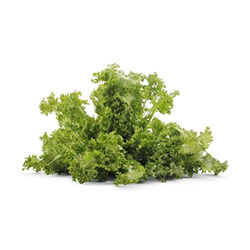 Organic Greens Escarole