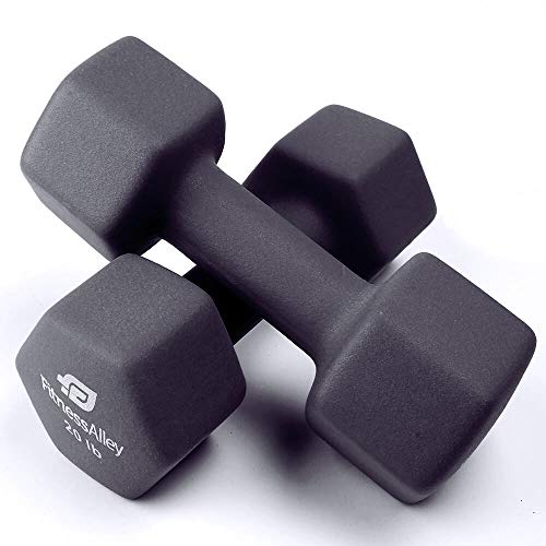 Fitness Alley 20lb Neoprene Dumbbell Set Coated for Non Slip Grip - Hex Dumbbells Weight Set - Hand weights set - Neoprene weight pairs - Hex Hand Weights - Set of two Neoprene Dumbbells, 20 lbs, Grey