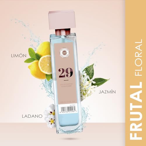 caravan 29 equivalencia