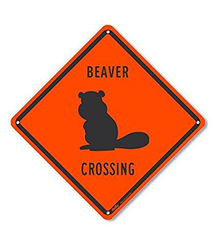 Panneau en aluminium Beaver Crossing pour sécuriser les routes de campagne