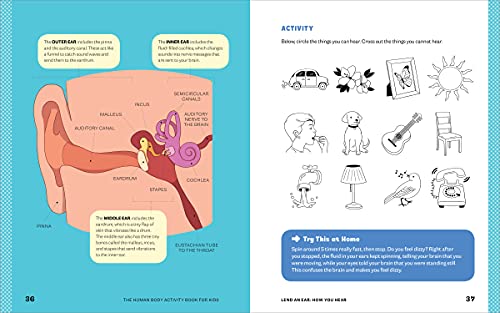 Human Body Activity Book for Kids: Hands-On Fun for Grades K-3 8 418sKlE5yLL