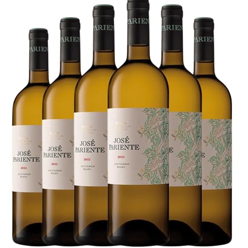 José Pariente - Vino Blanco Sauvignon Blanc | DO Rueda | Crianza sobre lías 4 meses | Notas minerales y persistentes | Fermentación en frío | Pack 6 Botellas 75cl