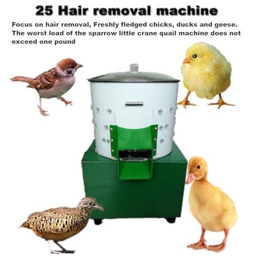 Máquina desplumadora de pollo, de acero inoxidable, automática, ideal para pollos y codornices