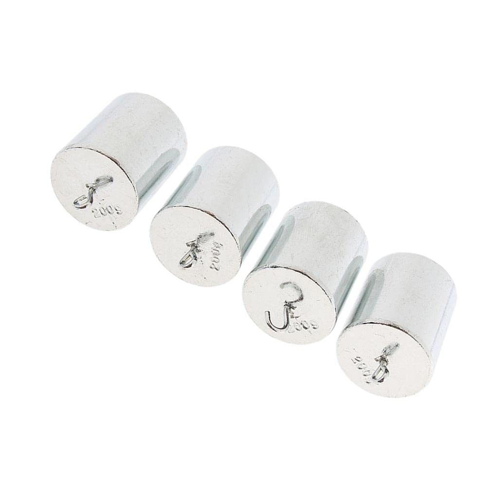 Colcolo Pack of 4 Slot Weights Set Hook Weight with Hanger Basic Mechanic Experiment Gauge Delivery