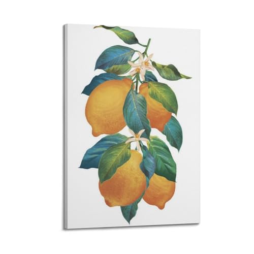 Poster branches de citron JIDUHON 20x30cm, cadre moderne pour art mural de cuisine