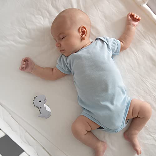 Dinosaur Toys Baby Teething Toys Teether Baby Items For Newborn Babies Infant Baby 0-6 Months 6 To 12 18 Months And Up- Dino Teether Toy Freezer Safe & Bpa Free #TOP6