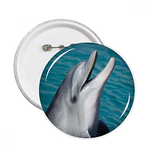 Badge dauphin pour vêtement terne : transformez votre style avec ce lot XL de 5 pins