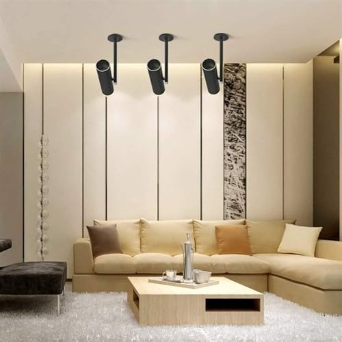 Spot LED COB orienté accentuation avec structure robuste en saillie - 3