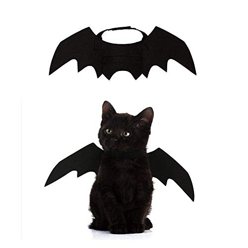 Crewell Halloween Costume halloween gatto per Animale domestico Cane Gatto,ali pipistrello Costume da pipistrello,cosplay gatto