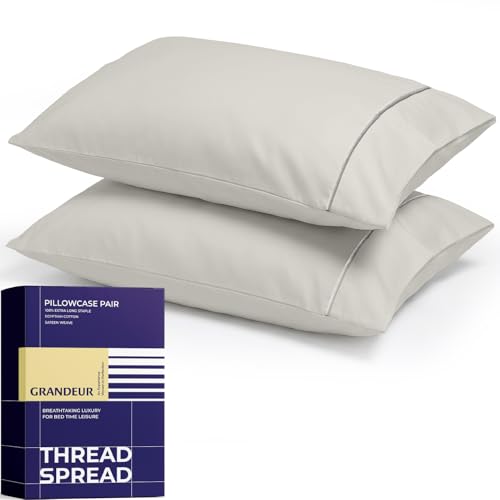 Image of THREAD SPREAD 100% Egyptian Cotton Pillow Cases Queen Size Set of 2 - Luxury 2000 Series Queen Pillow Cases (21 inch x 32 inch, Light Grey), Soft Cooling Envelope Closure Hotel Egyptian Cotton Pillowcases