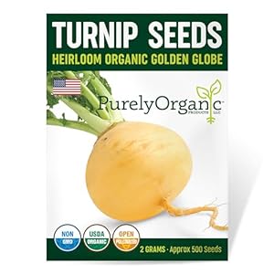 Organic Turnip Seeds (Golden Globe)...