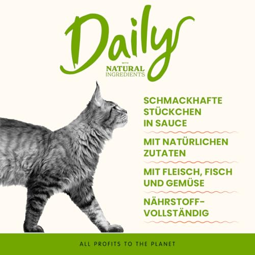 Almo Nature Daily - Nassfutter für Katzen - Huhn und Lachs - 70 g, Packung mit 30