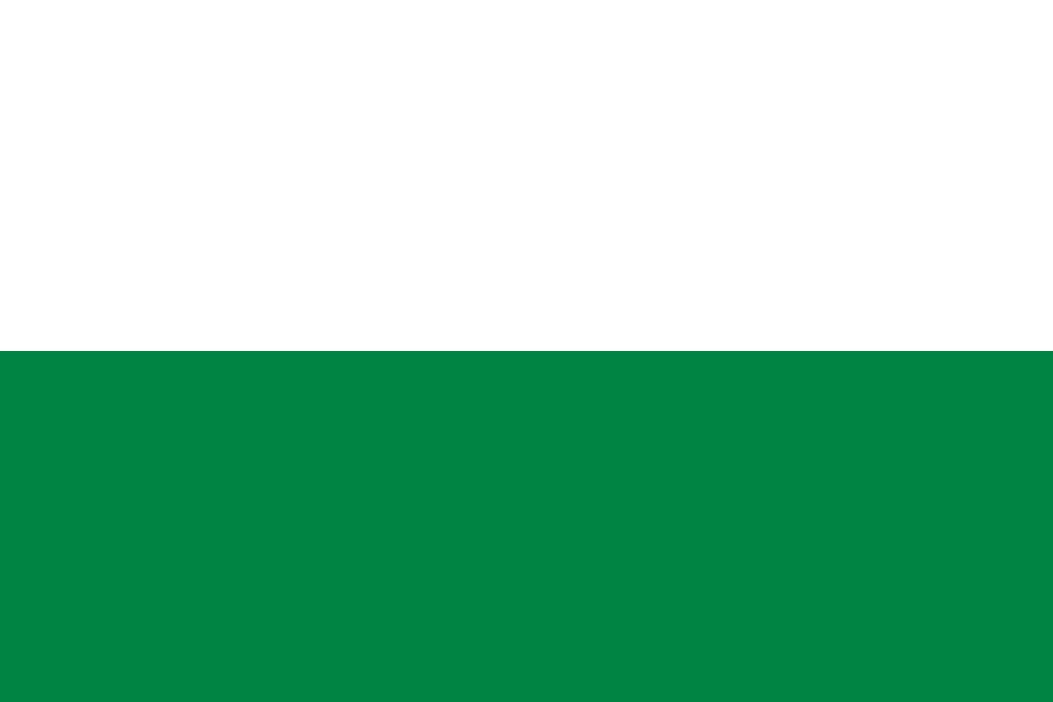 Drapeau Saxe de haute résistance format paysage 100x150cm de 1.5m²
