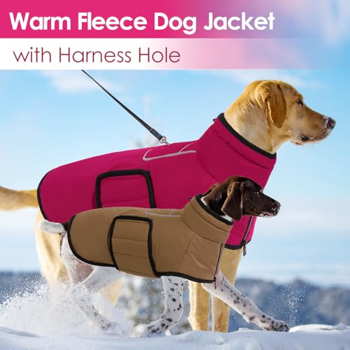 AOFITEE Hundemantel, Warme Hundewinterjacke für Kleine Hunde, Reflektierender Hundemantel mit Integriertem Geschirr, Wasserdichter Hundejacke aus Fleece mit Rollkragen für Yorkshire, West Highland
