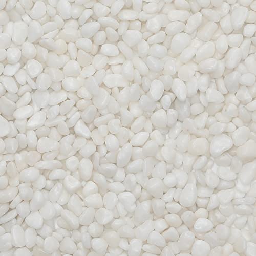 Msrlassn Guijarros de grava pequeña pulida, blanco pulido natural y mezcla de colores guijarros naturales de primera calidad para jardín grava piedras naturales para decoración (blanco pulido, 1 kg) Cover