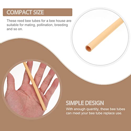 POPETPOP 50 Stück Mauerbienenröhren Mauerbienenhausröhren Outdoor-Schilfrohr-Bienenröhren Schilfrohr-Nachfüllung Für Bienenhaus – Bild 4