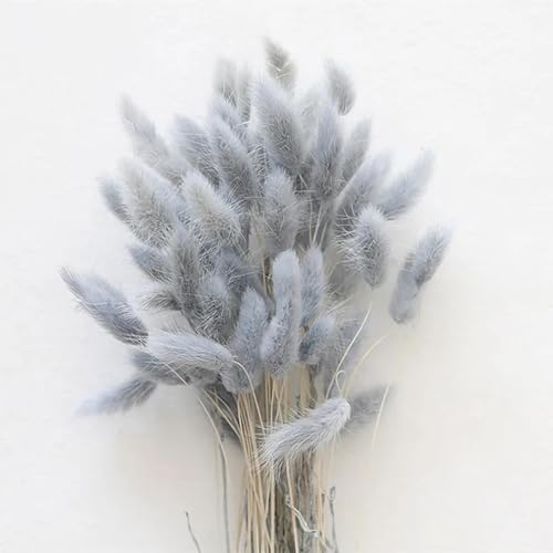 Decoración con Pasto Pampas Seco 50 Piezas 45 cm