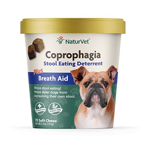 Top 10 Best Dog Eating Poop Deterrent Reviews 2023