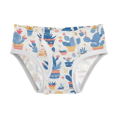 KLL Colored Succulents and Cactus Floral Boys Toddler Cotton Training Underwear Cute Undies