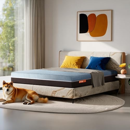 Sleepyhead Laxe -Pincore Latex Mattress with BodyIQ Orthopedic Memory Foam |10 Years Warranty |3 Zone Support |Washable & Breathable Cover |Medium Firm |6 Inch Queen Size Bed Mattress (78x60x6)
