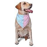 vercosee He Or She What Will It Be? Gender Reveal/Baby Announcement Dog Bandana,Pet Neckerchief for Pets Daily Wear Photo Prop Party Supplies (Blue)