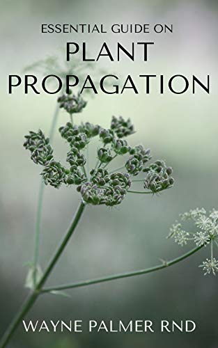 ESSENTIAL GUIDE ON PLANT PROPAGATION : The Essential Guide To Plant Propagation