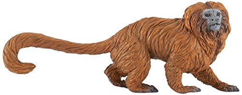 Papo -Hand-Painted - Figurine -Wild Animal Kingdom - Golden Lion Tamarin -50227 -Collectible - For Children - Suitable For Boys And Girls- From 3 Years Old #TOP8