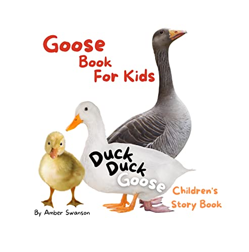 Duck Duck Goose Children's Story Book : Goose Book For Kids (Fun and