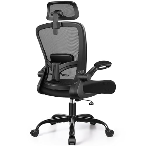 FelixKing Office Chair, Desk Chair with Adjustable Lumbar Support, Ergonomic Computer Chair with High Back and Armrest, Adjustable Height Gaming Chair