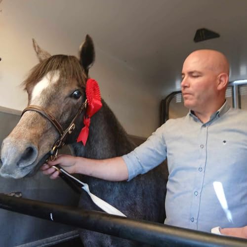 Ponies & People: A Day at the Midlands Stallion Parade Podcast Por  arte de portada