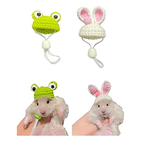Juego de 2 sombreros de ganchillo para animales pequeños Cover