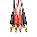 2 PCS EC5 Connector Male to 4mm Bullet Banana Plugs 12AWG Lead Adapter Cable for RC Battery Charger
