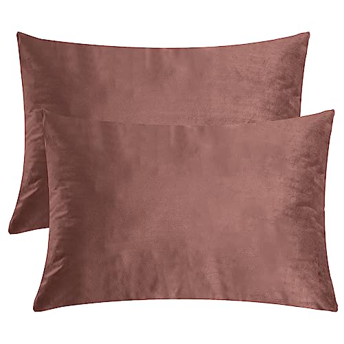 StangH Wild Rose Pink Soft Velvet Pillowcase Bed Pillow Cover, Set of 2