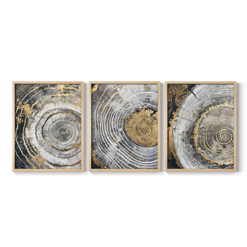 Renditions Gallery Set of 3 Peel & Stick Framed Prints, Abstract Wall Art, Textured Golden Spiral Design Wall Decor, Re-Stickable - Ready to Hang - 22"x28" - Natural Frame LT597