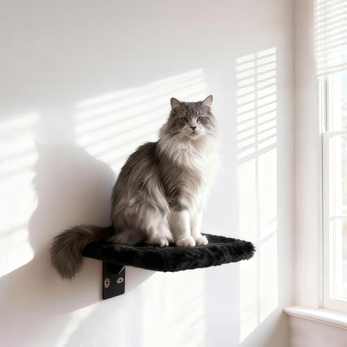 Sistema de muebles de pared para gatos, 5 piezas miniatura 6
