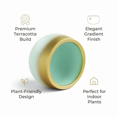 Image of Urban Plant Terracotta Pot - Trendy Planter for Modern Home & Garden Spaces (Celestia Terracotta Pot - Trendy Gradient)