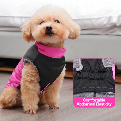 Abrigo para perro mediano JoyDaog talla XL miniatura 6