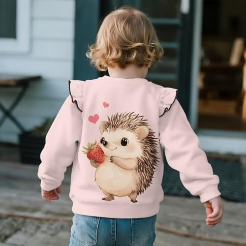 DISNIMO Girls Sweatshirt Kids Toddler Crewneck Sweatshirts Long Sleeve Shirts Fall Clothes Outfit Ruffle Pullover4