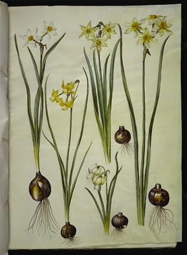 Cuadro pintura al óleo de Narciso Poético, lienzo decorativo clásico de 60x90cm