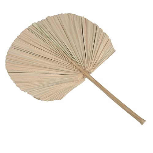 Hojas decorativas secas LIFKOME para arreglos