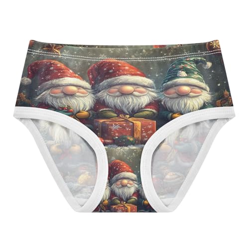 Christmas Three Gnomes Toddler Girls's Underwear 2T 202b8636