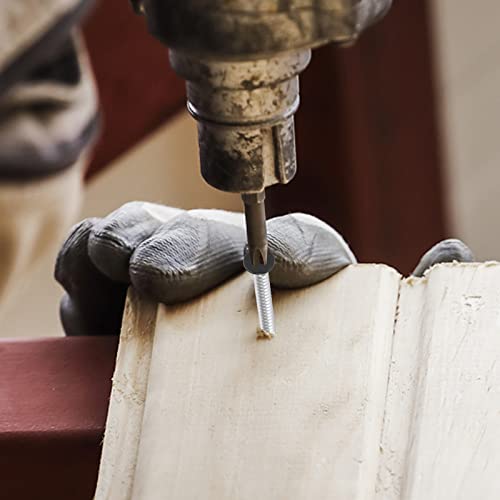 Image of QISHENG Black Head 100 PCS #4x3 /4(0.75 inch) Stainless Steel Phillips Flat Head Wood Screws,Stainless Steel 18-8 A2(304) Screw