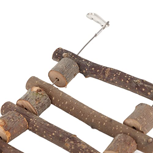 Fydun de Escalada para Animais de Estimação, Moagem de Dentes, Durável, Flexível, Ponte de de Madeir