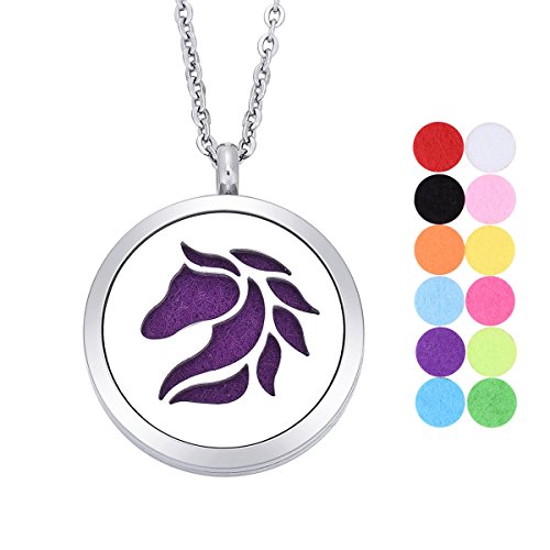 Tornado Horse Aromatherapy Essential Oil Diffuser Necklace Stainless Steel Round Locket Pendant 24