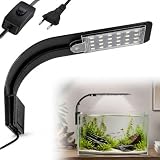 HOVCEH Aquarium Lampe mit Weiß und Blau Licht 10 W 24 LEDs, Ultradünn
