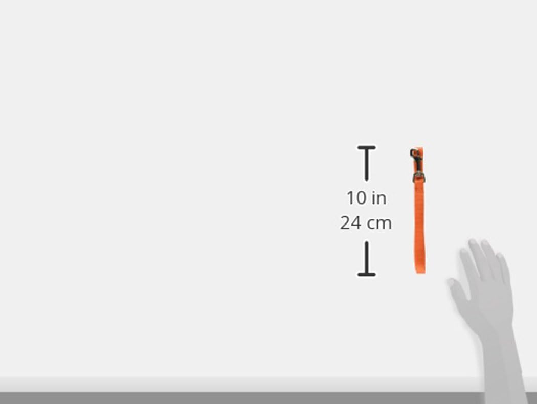 Hamilton Single Thick Deluxe Nylon Lead with Swivel Snap, 5/8-Inch by 4-Feet, Mango Orange, 5/8" x 4' - Image 3