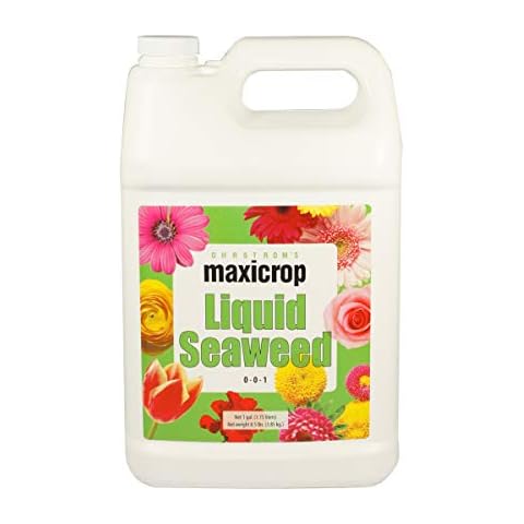 Original Liquid Seaweed Plant Nutrient Size: 1 Gallon Cover